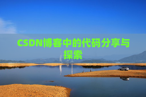 CSDN博客中的代码分享与探索
